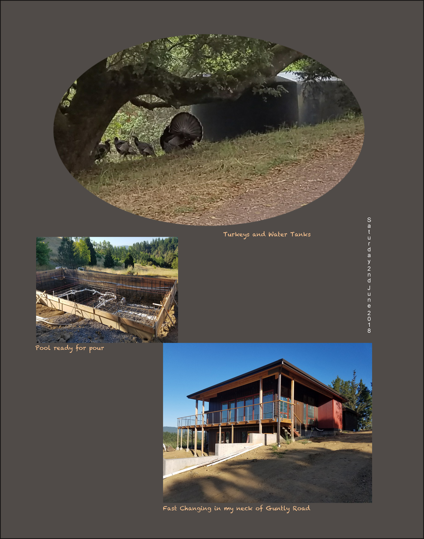 06_02_18_Local_Activity_