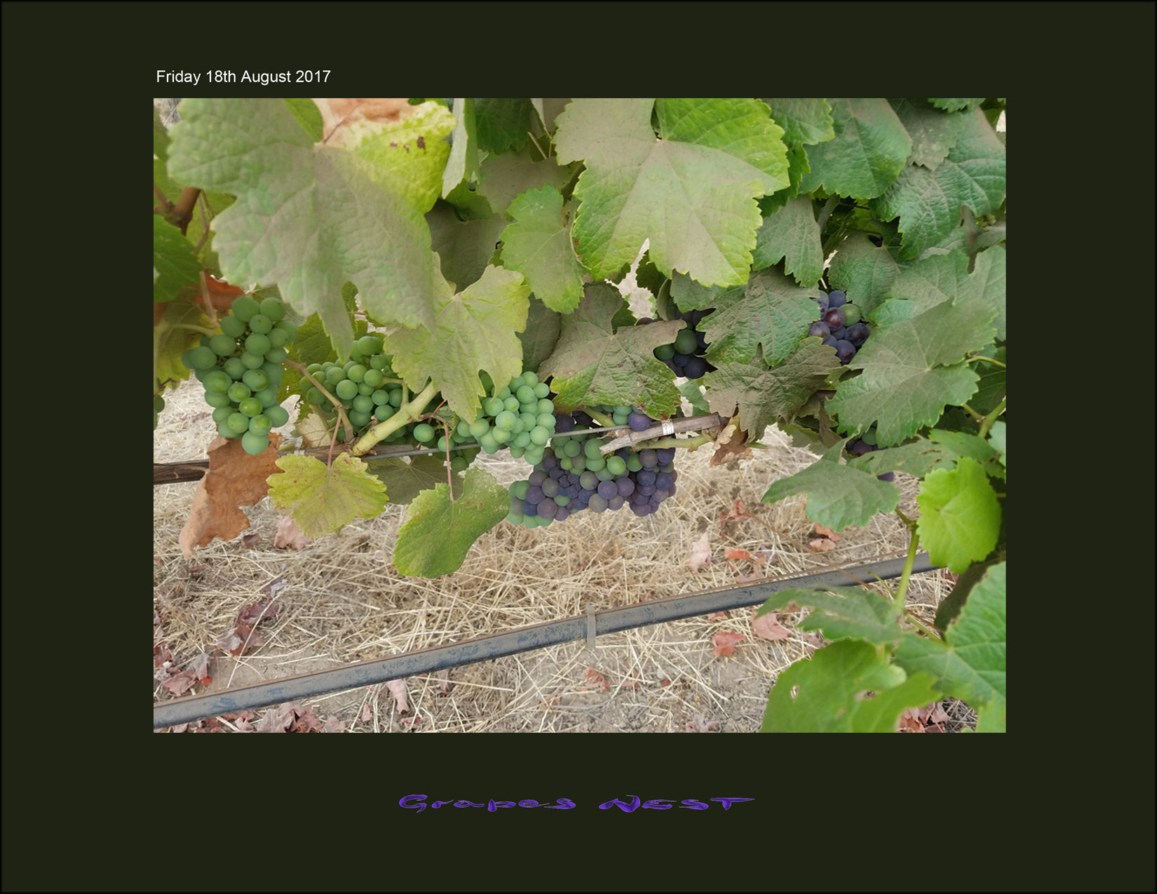 08_18_17_Recently_Observed