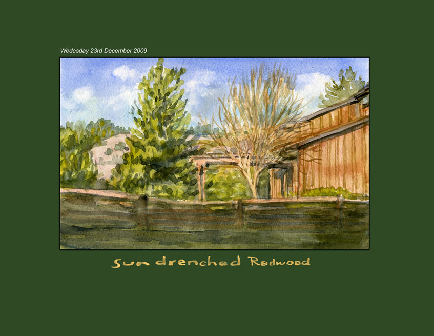 12_23_09_Yard_View