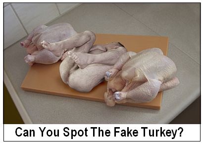 fake_turkey