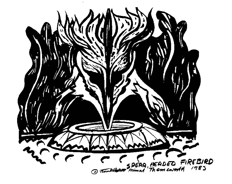 Firebird Tableau