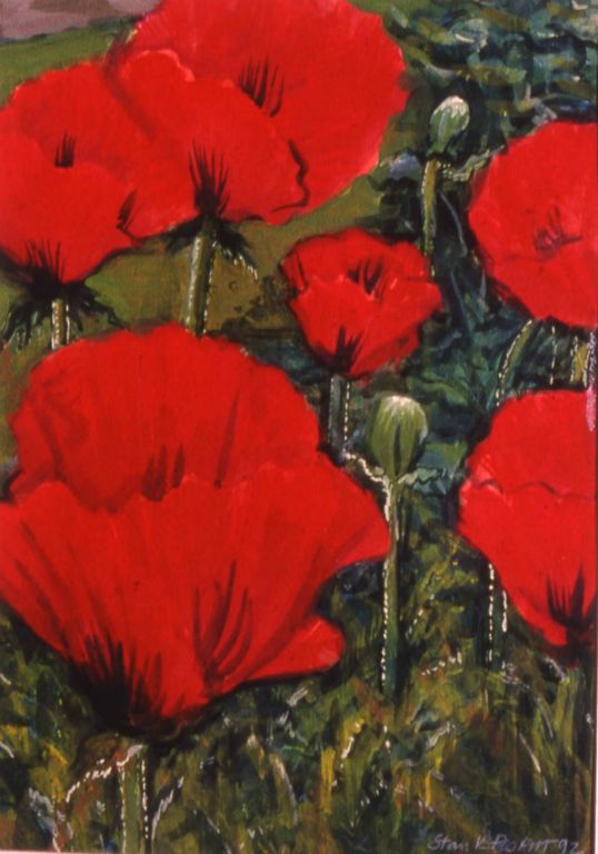 Flora 4
