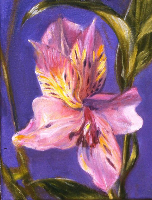 Flora 3