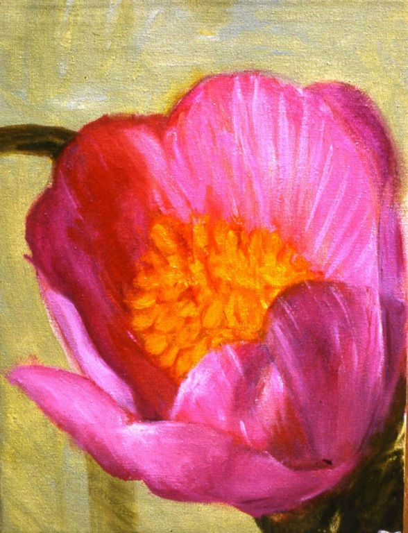 Flora 1