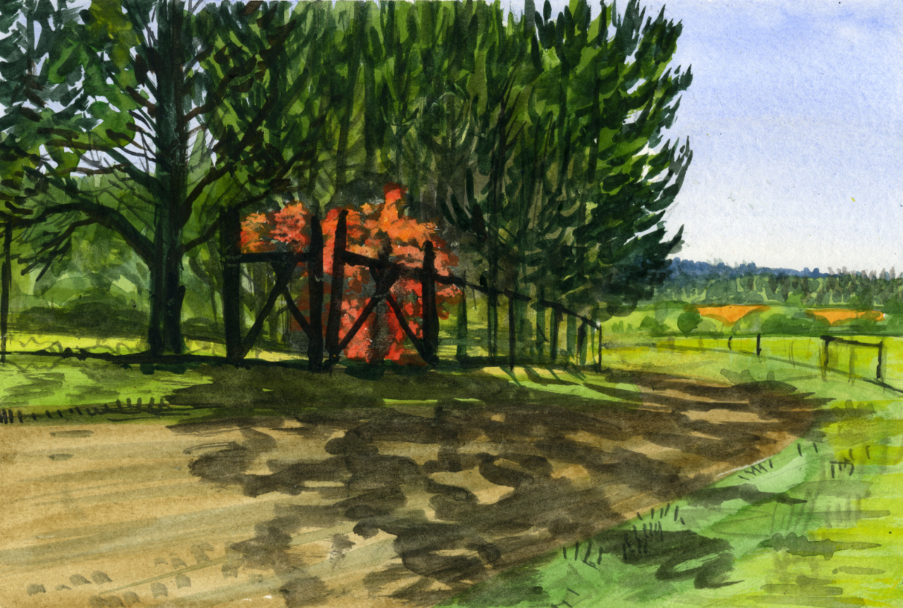 W10_11_01_10_Road_View_West