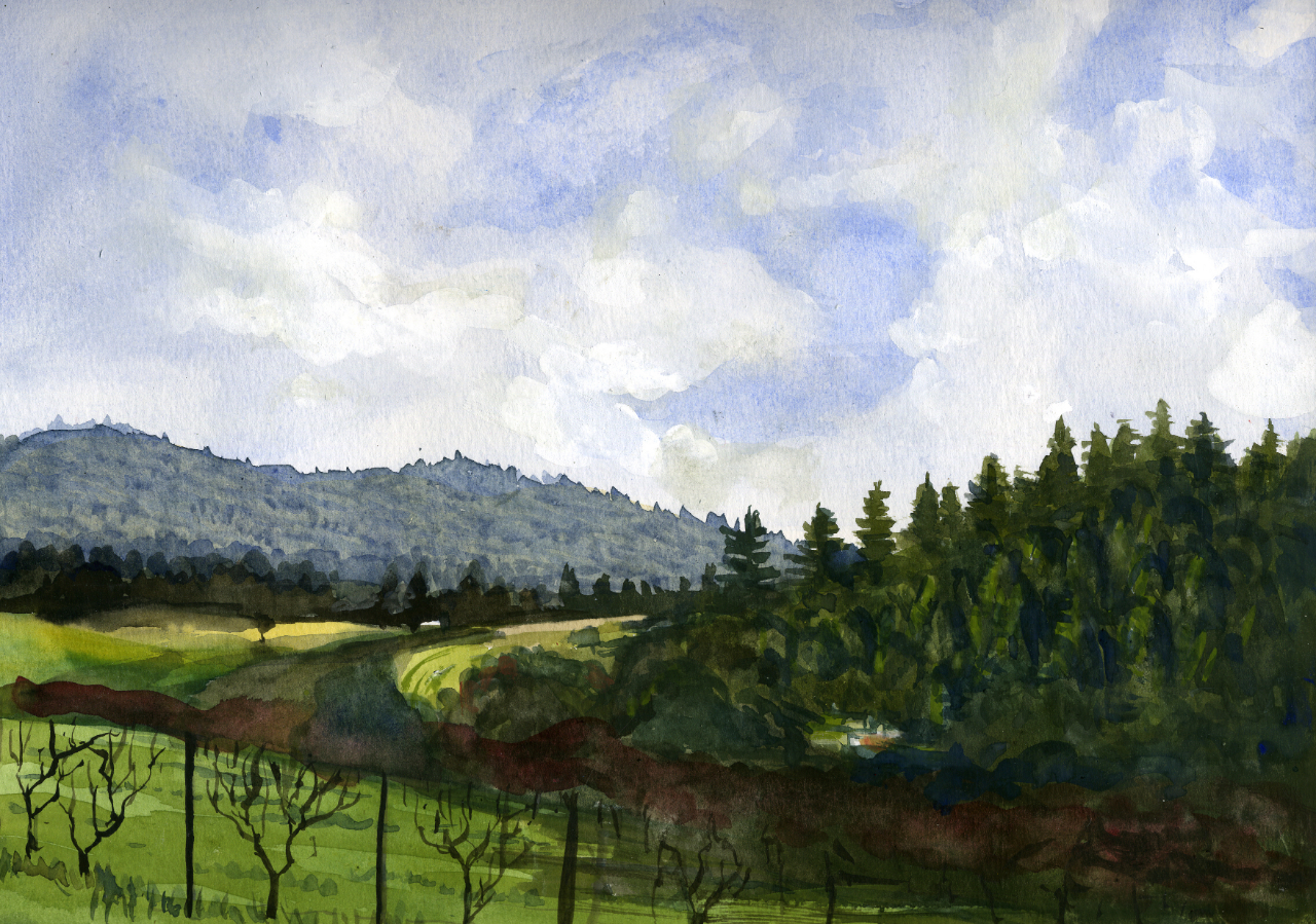 W7_01_20_10_Chardonay_lane_2